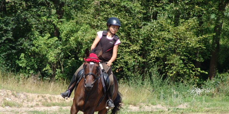 Týdenní nebo víkendový intenzivní kurz jízdy na koni