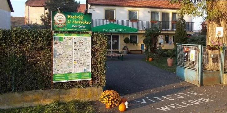 Jarní detoxikační medová masáž vč. infrasauny a zábalu