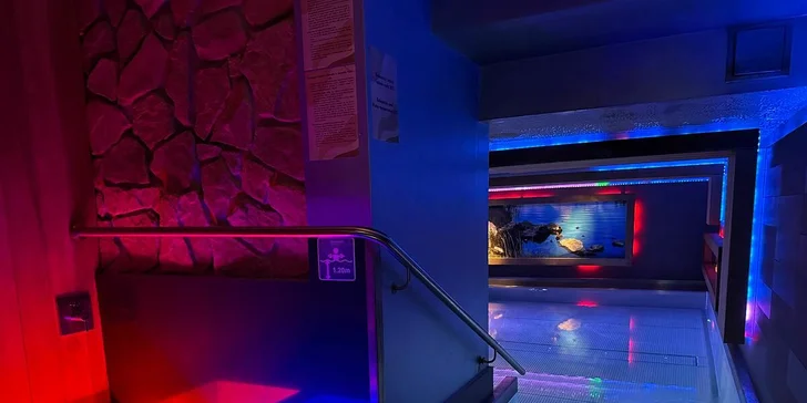 A kým pobyt vo fínskej alebo parnej saune zharmonizuje vaše myšlienky, môžete si dopriať aktívny typ relaxu v relaxačnom bazéne s protiprúdom a masážnymi tryskami. 