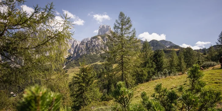 Okolie pretína až 300 km značených turistických trás.