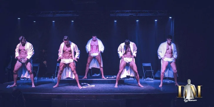 Vstupenka na Ladies night - Striptýzové vystoupení Dream men show