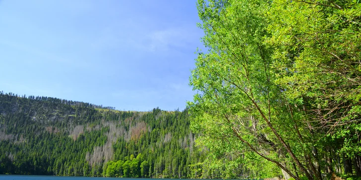 Třídenní relax na Šumavě: Ubytování se snídaní, turistika a památky