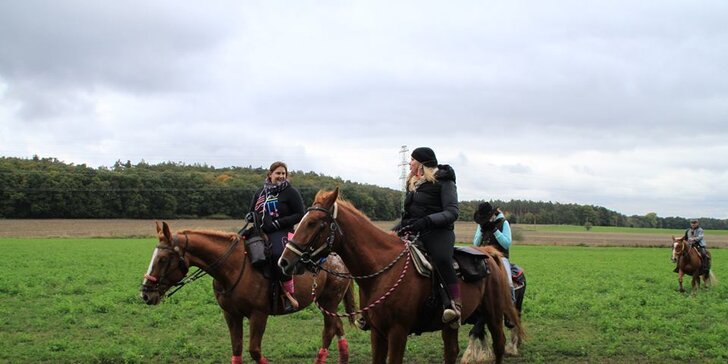 60 minut romantiky: Vyjížďka na koních s jejich vedením pro 2 osoby