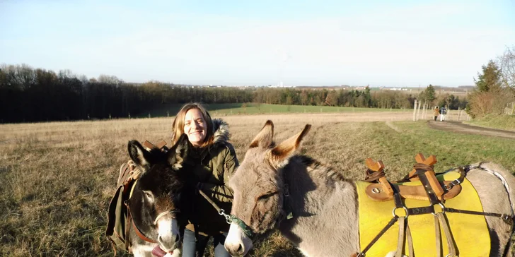 Oslí stezka: putování přírodním parkem v doprovodu oslíka a případně svačina