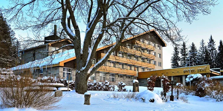 Pohoda na Šumavě: snídaně či polopenze, relaxace ve wellness a velký výběr sportovních aktivit