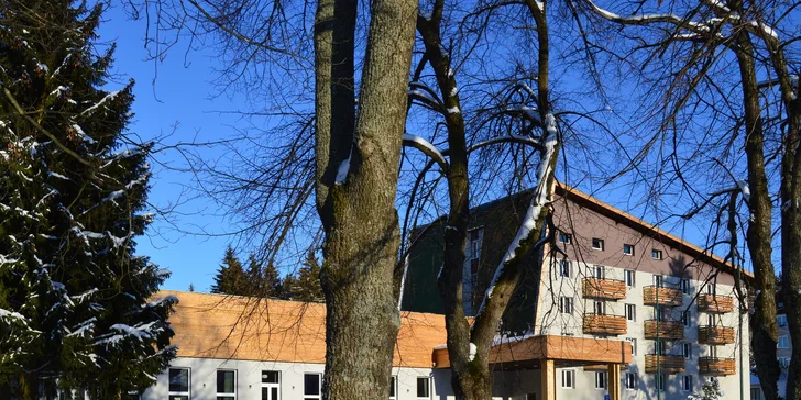 Pohoda na Šumavě: snídaně či polopenze, relaxace ve wellness a velký výběr sportovních aktivit