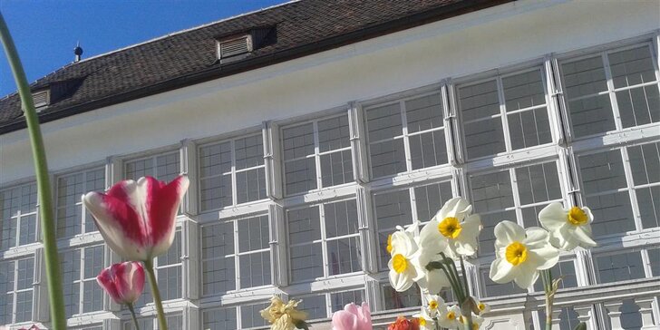 Výlet pro celou rodinu: Velikonoční trhy na zámku Hof v Rakousku
