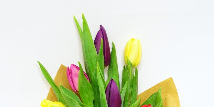 Oslavte 8. březen s grácií - karafiáty pro pamětníky, květinový strom pro rebely
