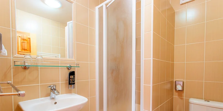 Samozřejmostí je koupelna se sprchovým koutem a WC.