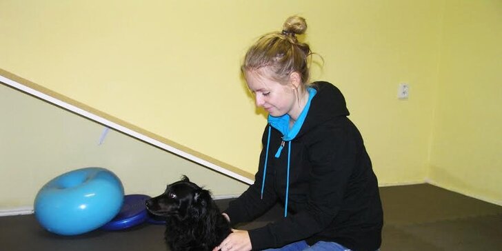 Fyzioterapie, rehabilitace a masáže psů - Dog's Health