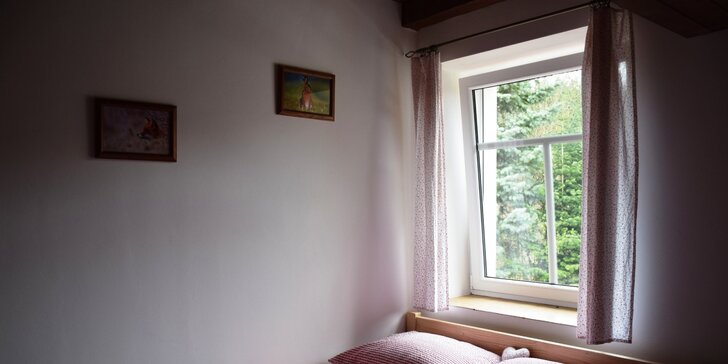 Na samotě u lesa: Dovolená v apartmánu v prostředí Adršpašsko-teplických skal