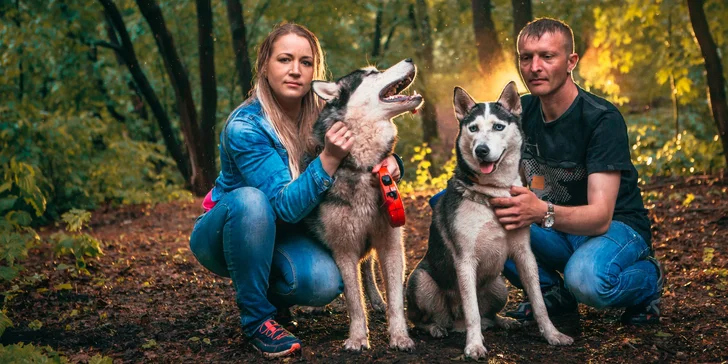 Dogtrekking s aljašským huskym: svižná procházka po Jizerských horách