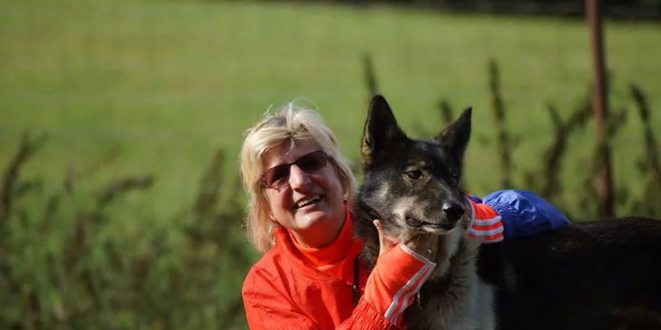 Dogtrekking s aljašským huskym: svižná procházka po Jizerských horách