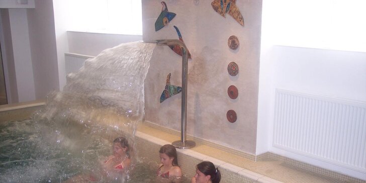 Vodní radovánky v hotelu Centrál: 1 nebo 2 hodiny v bazénu se slanou vodou