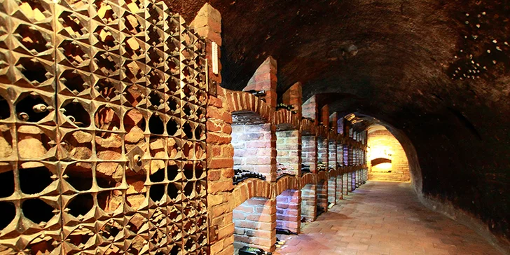 Vinařská dovolená u Znojma: Česká polopenze, degustace vín a zapůjčení kol