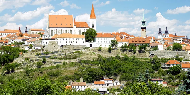 Vinařská dovolená u Znojma: Bohaté snídaně, degustace vín a zapůjčení kol