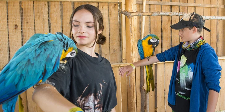 Celodenný výlet na Liptove: vstupenka 3v1 do ZOOKONTAKT Tatralandia + obed