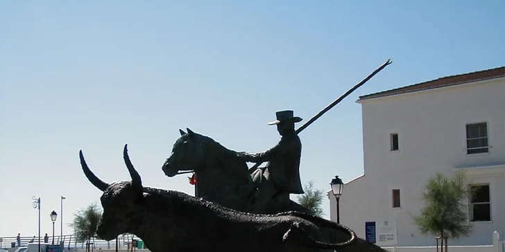 Srpnový zájezd do Provence se 3 noclehy: Cannes, Pont du Gard, Marseille i Arles