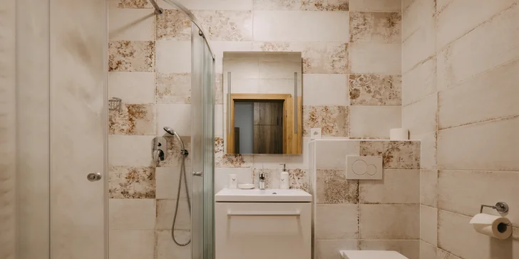 Pokoj má i vlastní koupelnu se sprchou, umyvadlem a WC.