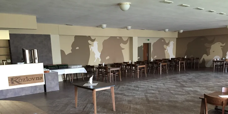 Vstupenka na 1. ples Kozla v Jihlavě