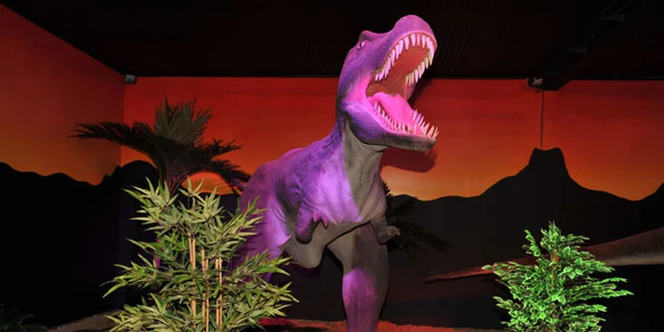 U cedulek s názvy dinosaurů můžete s malými dětmi trénovat i čtení.