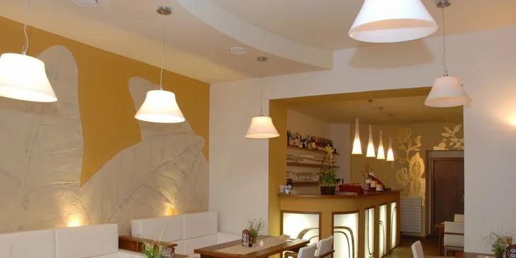 Třídenní pobyt PRO DVA v hotelu Art v Písku