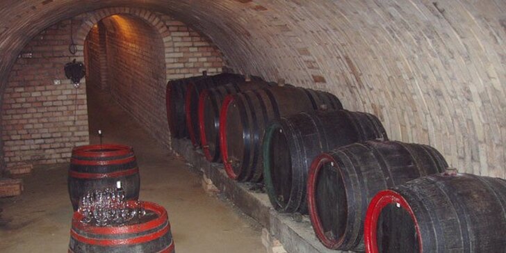 Pobyt uprostřed vinic nedaleko Lednice: gurmánská polopenze i koštování vína