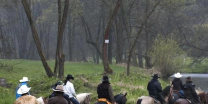 Staňte se westernovým jezdcem: 3 hodiny u koní a projížďka podél Berounky