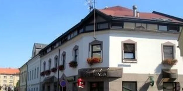 Pobyt pro 2 osoby s polopenzí v Hotelu Hansa***