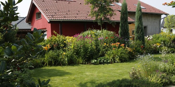 2hodinová konzultace se zahradním designérem: zkrášlete interiér nebo exteriér