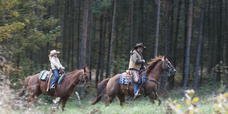Staňte se westernovým jezdcem: 3 hodiny u koní a projížďka podél Berounky
