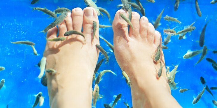 Povzneste se koupelí nohou s rybkami Garra Rufa - pro páry i jednotlivce