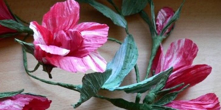 Twist Art: 3hodinový kreativní kurz výroby květin z hedvábného papíru