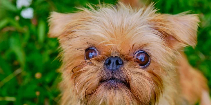 Do týdne dostanete buď 20, nebo 40 upravených fotografií v elektronické podobě. 
