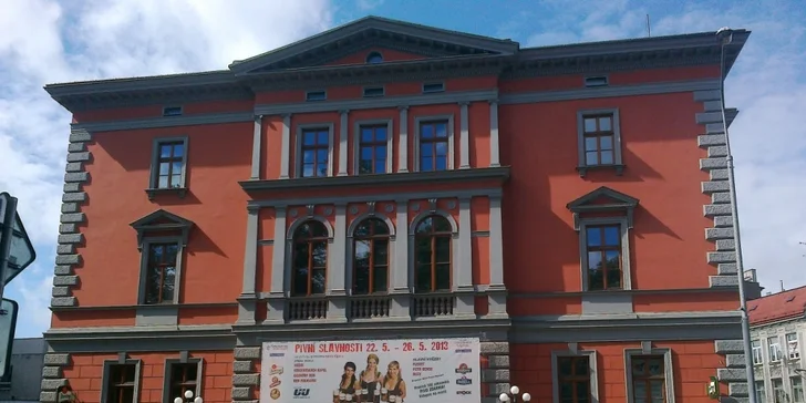 1 kg hovězí hostiny: steaky, žebra, domácí hranolky, dip a salátek pro 2 - 4 jedlíky