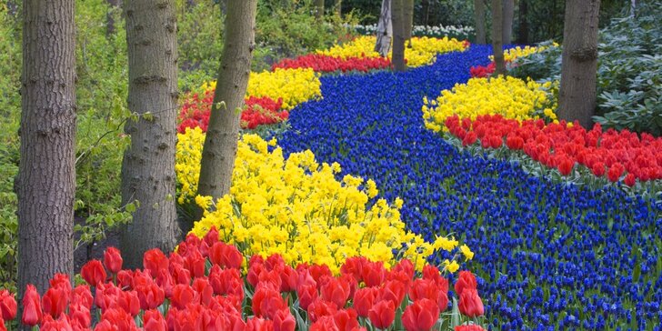 Květinové korzo, Amsterdam, Keukenhof, Zaanse Schans, Delft, Rotterdam