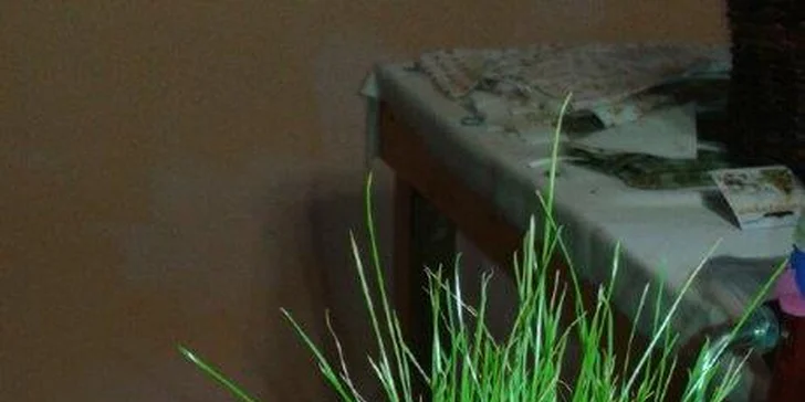 Víkendové tvoření pro malé i velké: pan Trávníček se zelenou kšticí
