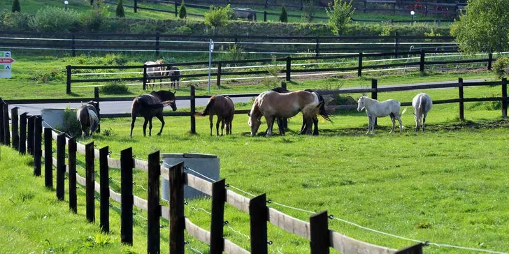 Čarodějnický pobyt v Šiklově mlýnu s programem a polopenzí
