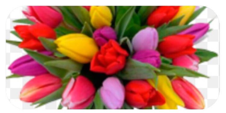 Voňavá SPA jarní pedikúra: tulipánová s malinovým čajem