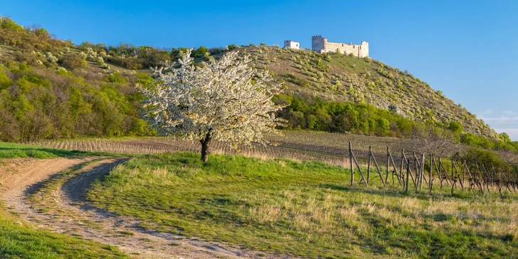 Relax u Pálavy: pobyt na jižní Moravě se snídaní nebo polopenzí a s wellness i masáží