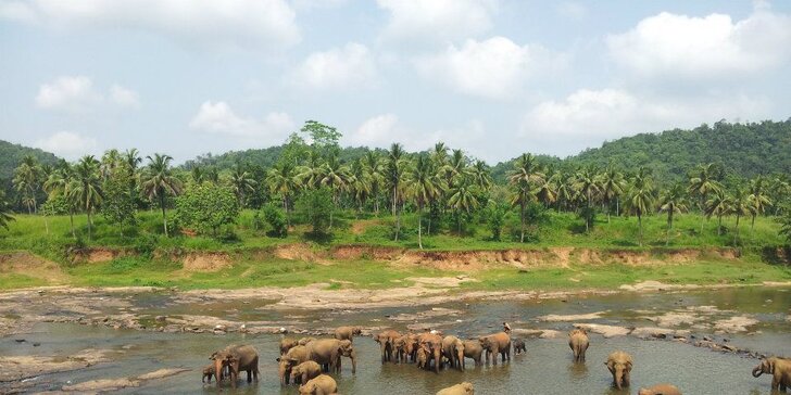 Za slony na Srí Lanku: prosincový zájezd na 7 nocí s polopenzí a průvodcem