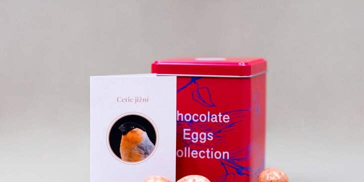 Kolekce čokoládových vajíček jako z ptačího hnízda v plechové dóze