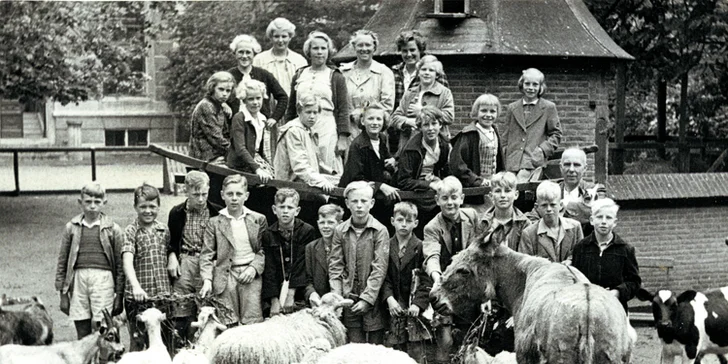 300gramové holandské sýry: jubilejní gouda nebo jemný sýr Belsagio