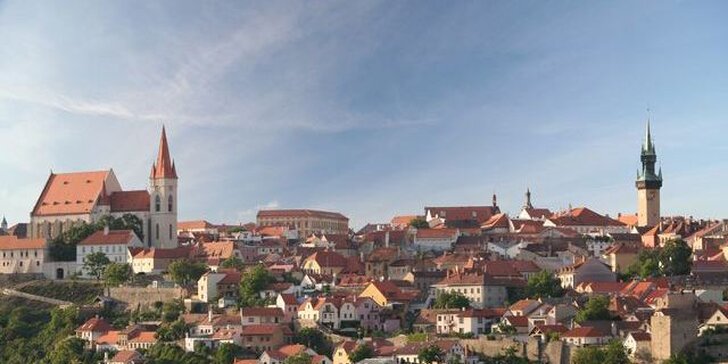 Vinařská dovolená u Znojma: Česká polopenze, degustace vín a zapůjčení kol
