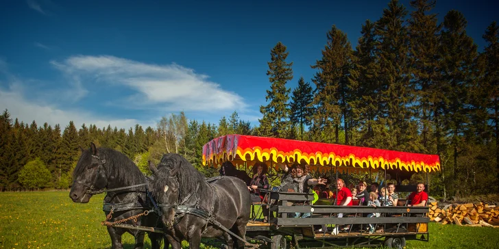 Užít si můžete i projížďku po areálu v čertovském povozu. Konibus jezdí za hezkého počasí v letních měsících.