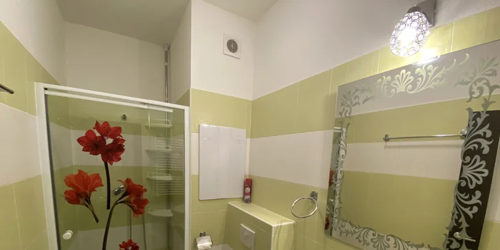 Apartmány mají vlastní koupelnu se sprchovým koutem.
