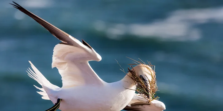 Autor fotografie: Helgoland Tourism Service, copyright Carsten Hase.