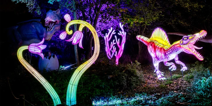 Vstupenky na světelnou expozici Světla času v dinosauřím parku Dinolive