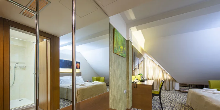 Na pokoji najdete trezor, telefon, Wi-Fi, TV i minibar.