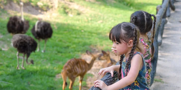 Na pláne je aj návšteva kontaktnej mini ZOO Devín